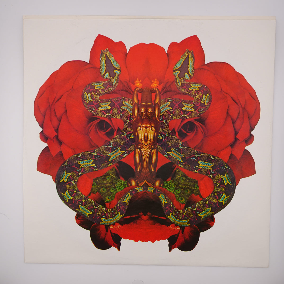 A square art print or poster featuring a surreal, symmetrical composition of large red roses and a central gold-toned figure wrapped in patterned green and black snakes, shown against a white background.